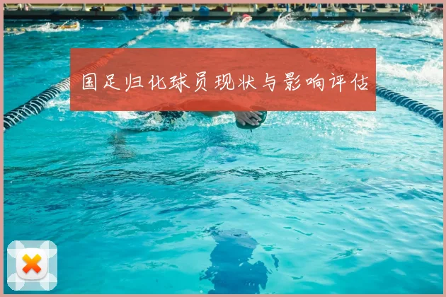 国足归化球员现状与影响评估