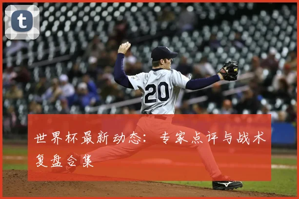 世界杯最新动态:专家点评与战术复盘合集
