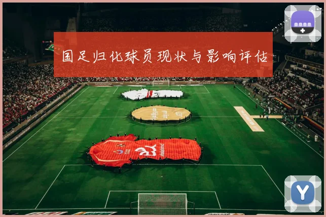 国足归化球员现状与影响评估